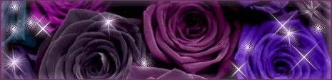 banner---roses.jpg